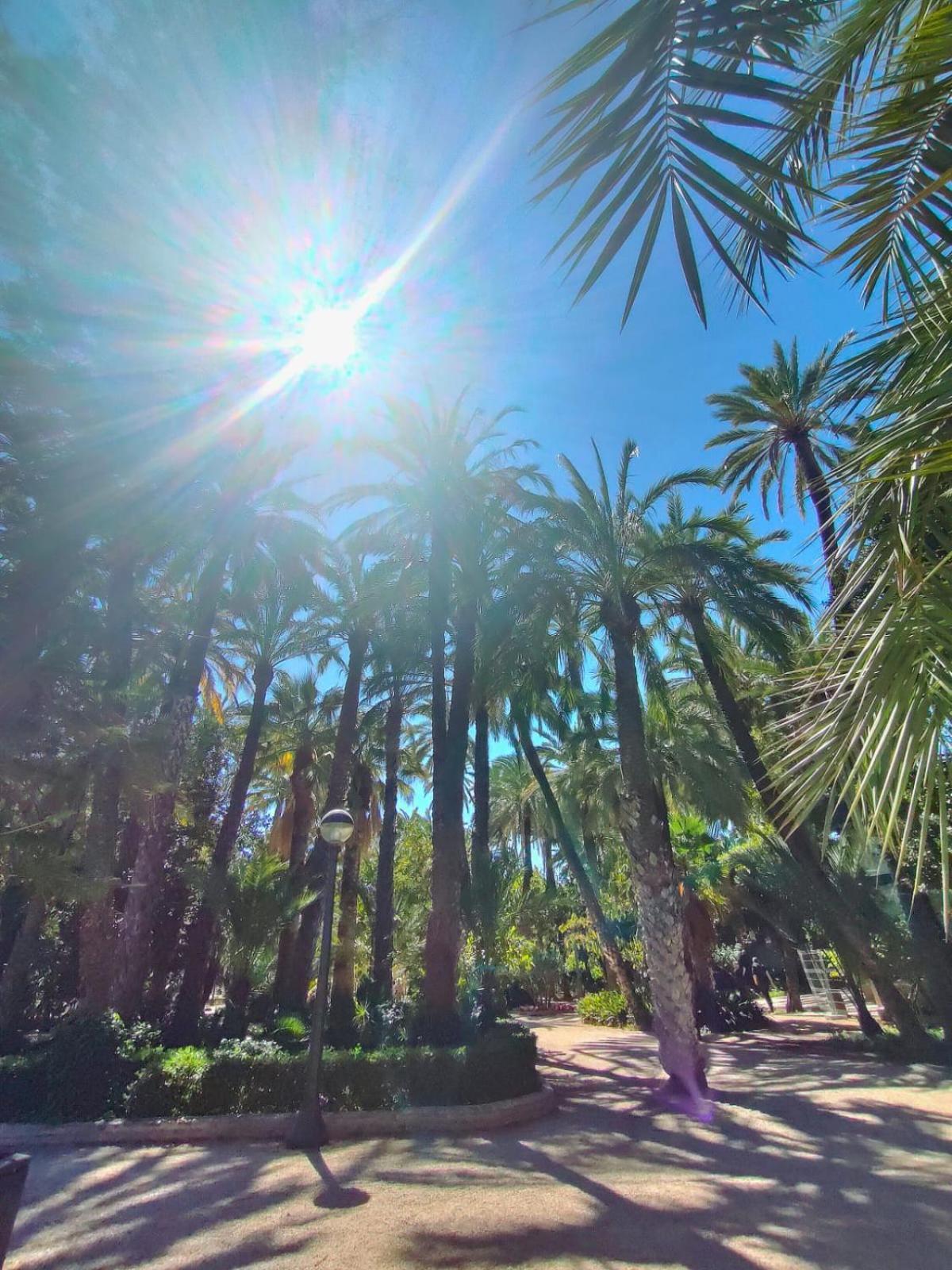 Apartmán Casa De Buenos Dias Torrevieja Exteriér fotografie